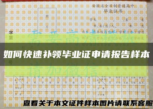 如何快速补领毕业证申请报告样本缩略图