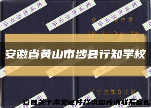 安徽省黄山市涉县行知学校缩略图