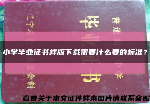 小学毕业证书样版下载需要什么要的标准？缩略图