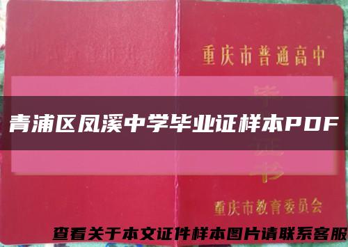 青浦区凤溪中学毕业证样本PDF缩略图