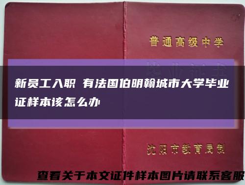 新员工入职沒有法国伯明翰城市大学毕业证样本该怎么办缩略图