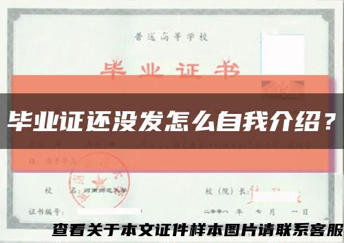 毕业证还没发怎么自我介绍？缩略图