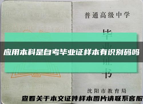 应用本科是自考毕业证样本有识别码吗缩略图