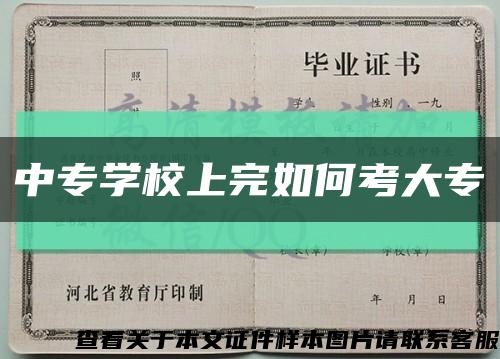 中专学校上完如何考大专缩略图