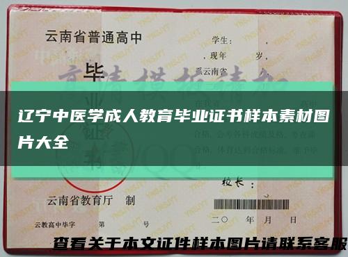 辽宁中医学成人教育毕业证书样本素材图片大全缩略图