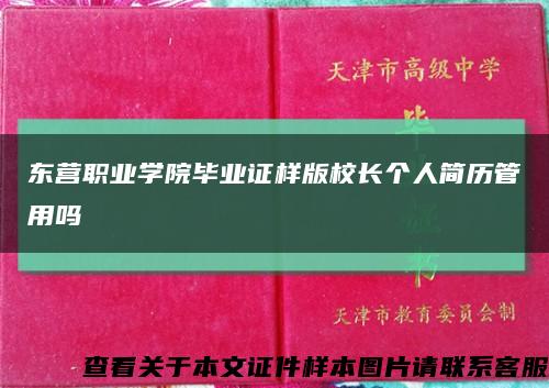 东营职业学院毕业证样版校长个人简历管用吗缩略图