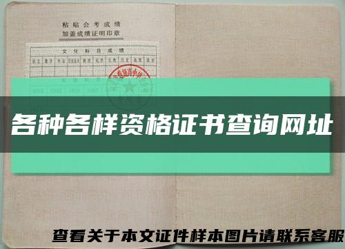 各种各样资格证书查询网址缩略图