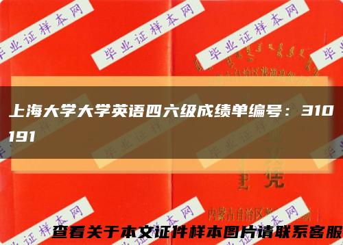 上海大学大学英语四六级成绩单编号：310191缩略图