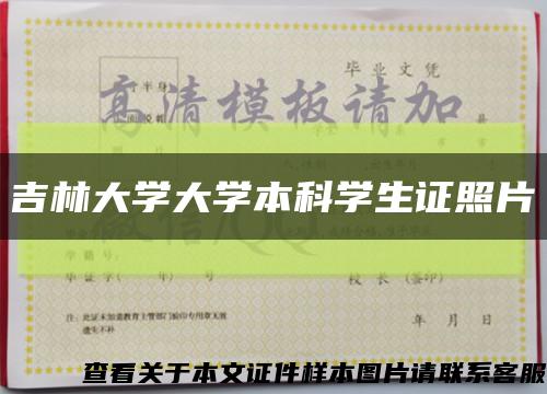 吉林大学大学本科学生证照片缩略图