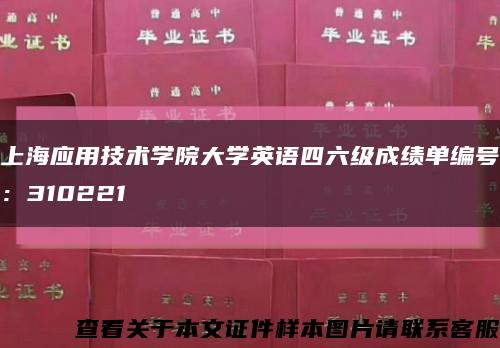 上海应用技术学院大学英语四六级成绩单编号：310221缩略图