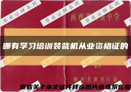 哪有学习培训装裁机从业资格证的缩略图