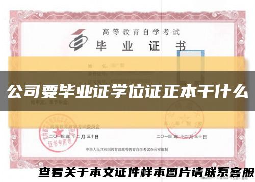 公司要毕业证学位证正本干什么缩略图