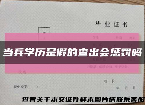 当兵学历是假的查出会惩罚吗缩略图