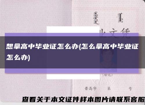 想拿高中毕业证怎么办(怎么拿高中毕业证怎么办)缩略图