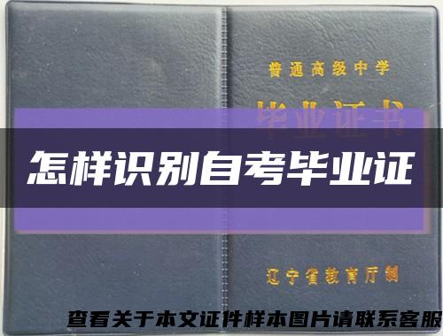 怎样识别自考毕业证缩略图