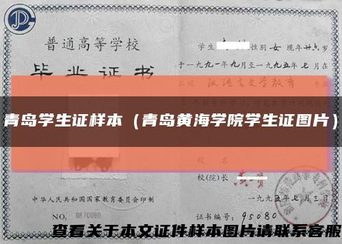 青岛学生证样本（青岛黄海学院学生证图片）缩略图