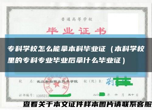 专科学校怎么能拿本科毕业证（本科学校里的专科专业毕业后拿什么毕业证）缩略图