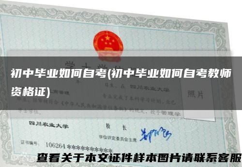 初中毕业如何自考(初中毕业如何自考教师资格证)缩略图