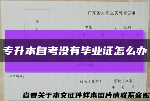 专升本自考没有毕业证怎么办缩略图