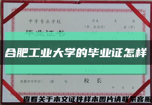 合肥工业大学的毕业证怎样缩略图