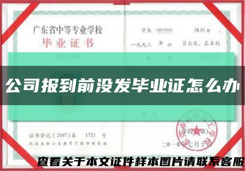 公司报到前没发毕业证怎么办缩略图