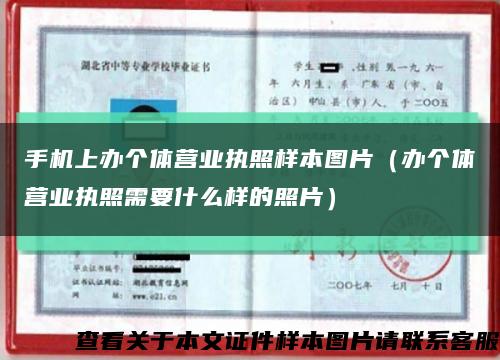 手机上办个体营业执照样本图片（办个体营业执照需要什么样的照片）缩略图