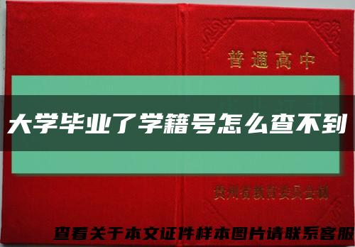 大学毕业了学籍号怎么查不到缩略图