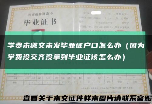 学费未缴交未发毕业证户口怎么办（因为学费没交齐没拿到毕业证该怎么办）缩略图