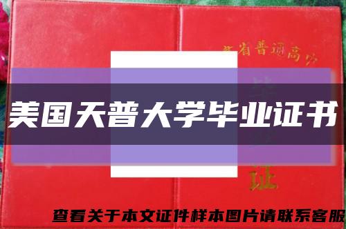 美国天普大学毕业证书缩略图