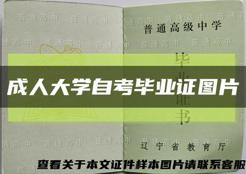 成人大学自考毕业证图片缩略图