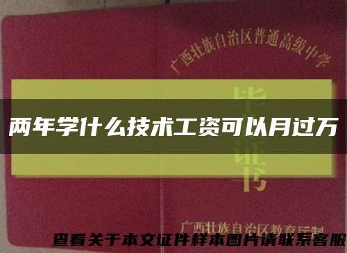 两年学什么技术工资可以月过万缩略图