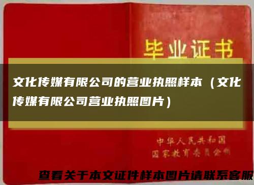 文化传媒有限公司的营业执照样本（文化传媒有限公司营业执照图片）缩略图