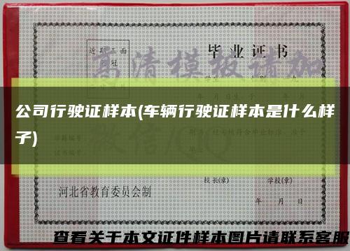 公司行驶证样本(车辆行驶证样本是什么样子)缩略图