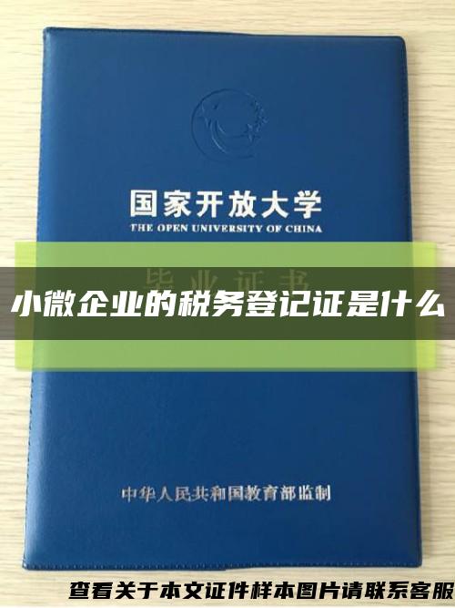 小微企业的税务登记证是什么缩略图