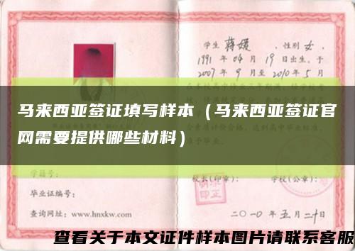 马来西亚签证填写样本（马来西亚签证官网需要提供哪些材料）缩略图