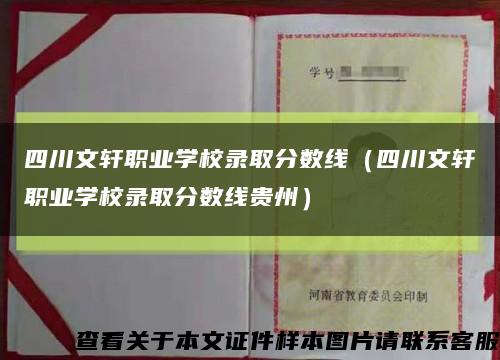 四川文轩职业学校录取分数线（四川文轩职业学校录取分数线贵州）缩略图