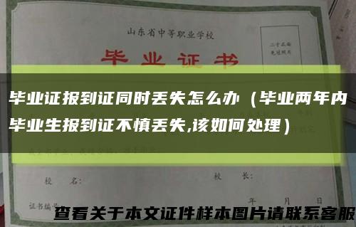 毕业证报到证同时丢失怎么办（毕业两年内毕业生报到证不慎丢失,该如何处理）缩略图