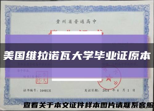 美国维拉诺瓦大学毕业证原本缩略图