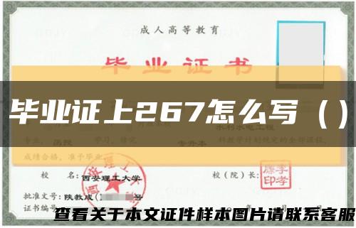 毕业证上267怎么写（）缩略图