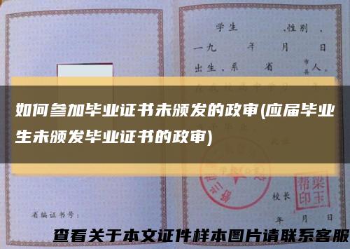 如何参加毕业证书未颁发的政审(应届毕业生未颁发毕业证书的政审)缩略图