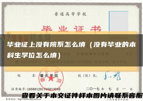 毕业证上没有院系怎么填（没有毕业的本科生学位怎么填）缩略图