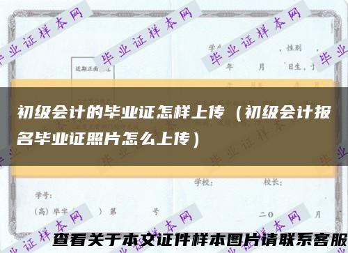 初级会计的毕业证怎样上传（初级会计报名毕业证照片怎么上传）缩略图