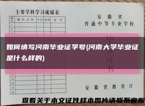 如何填写河南毕业证学号(河南大学毕业证是什么样的)缩略图