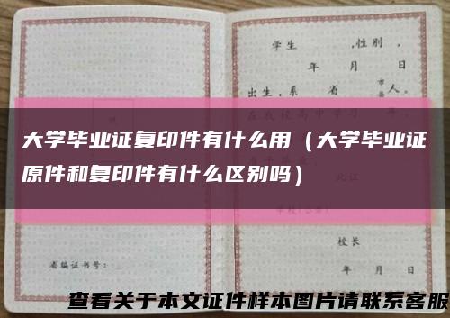 大学毕业证复印件有什么用（大学毕业证原件和复印件有什么区别吗）缩略图