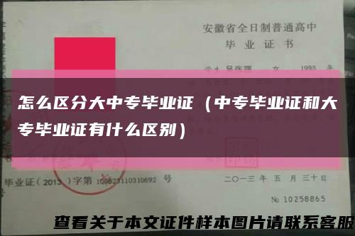 怎么区分大中专毕业证（中专毕业证和大专毕业证有什么区别）缩略图