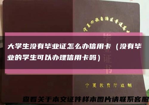 大学生没有毕业证怎么办信用卡（没有毕业的学生可以办理信用卡吗）缩略图