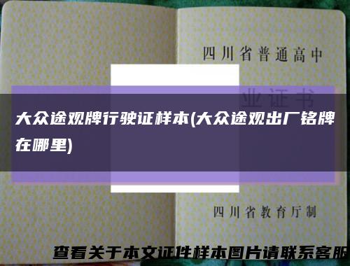 大众途观牌行驶证样本(大众途观出厂铭牌在哪里)缩略图