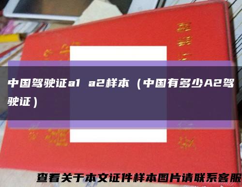 中国驾驶证a1 a2样本（中国有多少A2驾驶证）缩略图