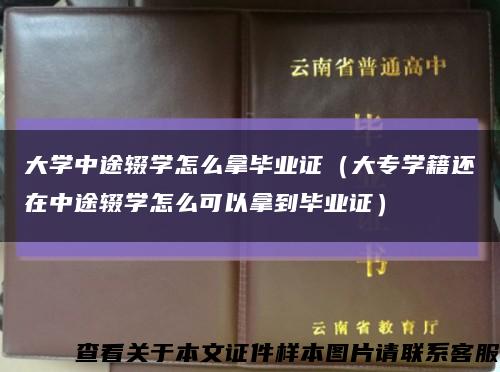 大学中途辍学怎么拿毕业证（大专学籍还在中途辍学怎么可以拿到毕业证）缩略图