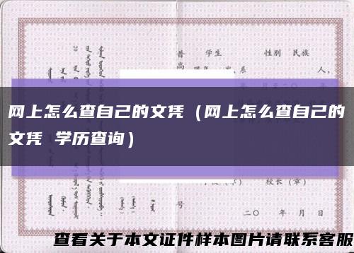 网上怎么查自己的文凭（网上怎么查自己的文凭 学历查询）缩略图